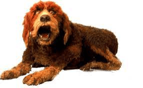 Weekly Muppet Wednesdays: Dog | The Muppet
        Mindset