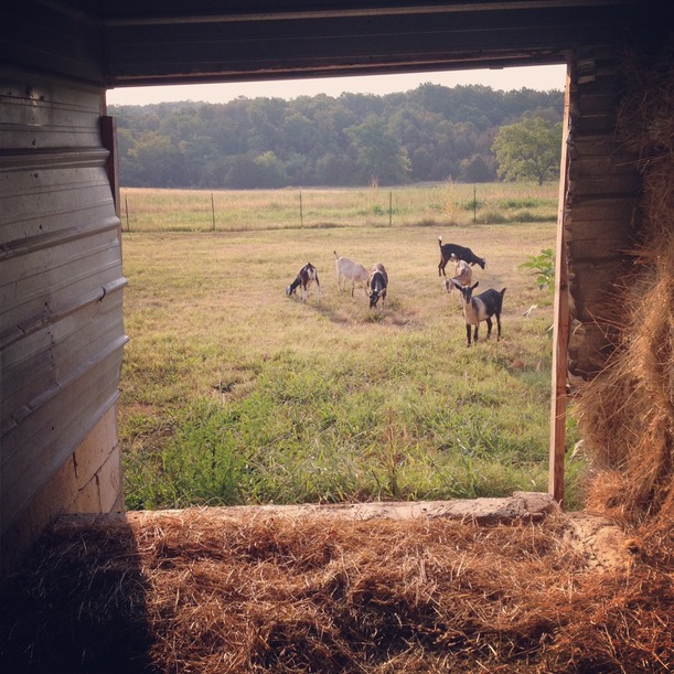 See the source image