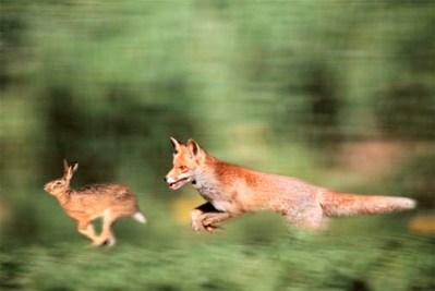 See the source image