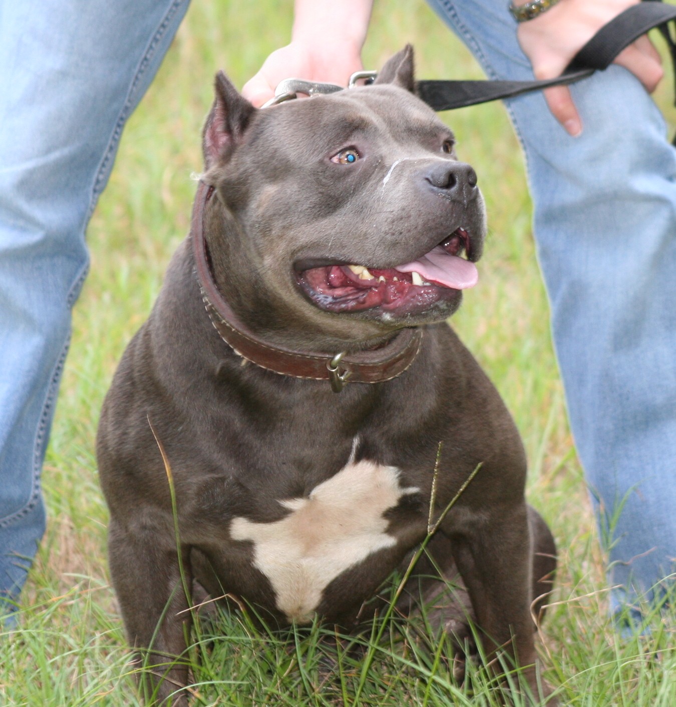 See the source image