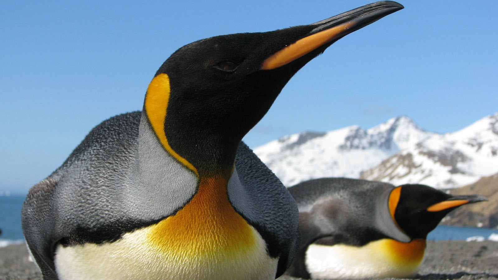 See the source image