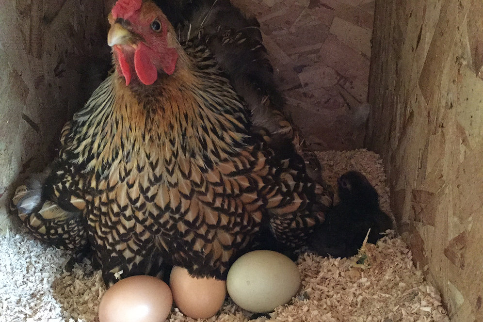 See the source image