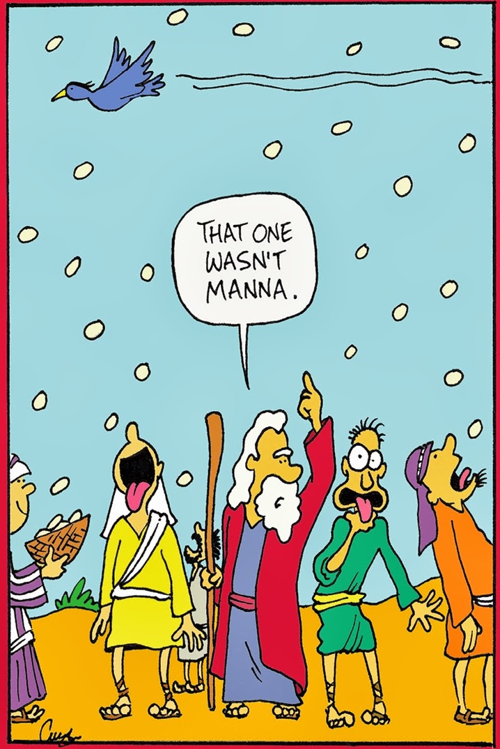 See the source image